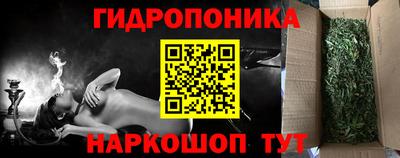 ПСИЛОЦИБИНОВЫЕ ГРИБЫ Аргун