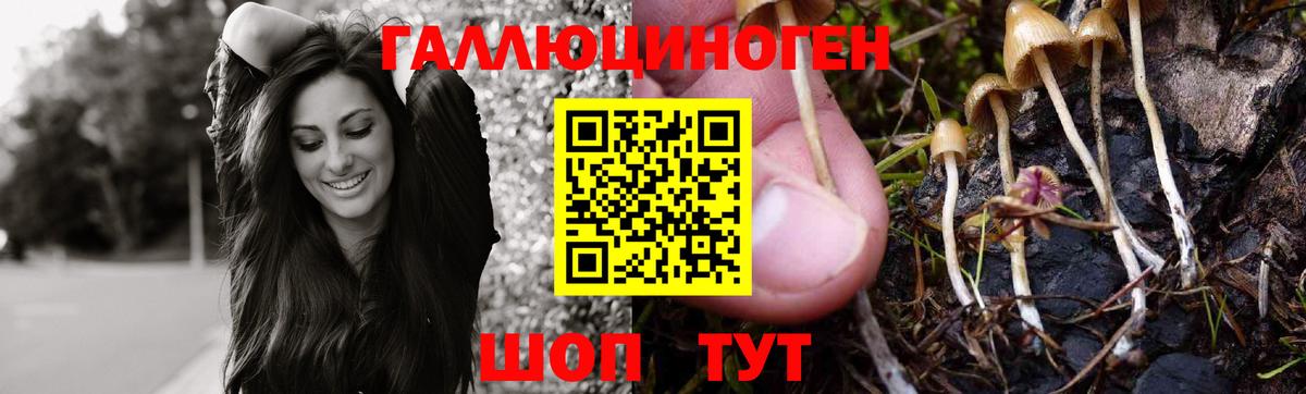 Псилоцибиновые грибы Magic Shrooms  Вход с VPN  Богданович 